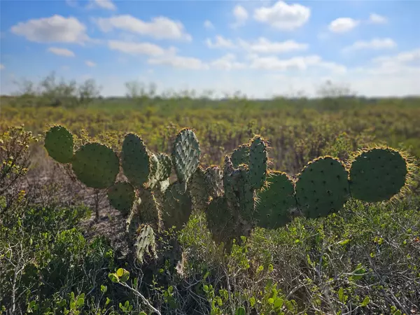 0 San Jose Ranch RD, San Benito, TX 78586