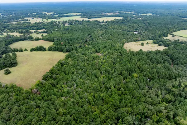 Grapeland, TX 75844,22.656 ACR Private Road 5040