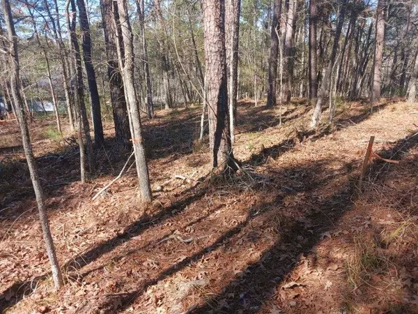 Coldspring, TX 77331,75 S Fairway LOOP