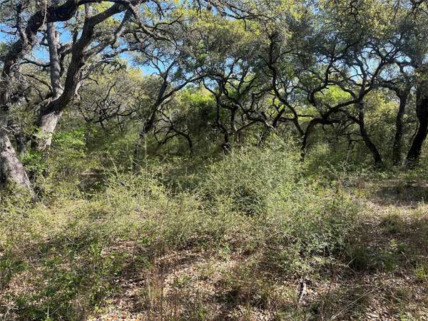 00 County Road 120, Hallettsville, TX 77964