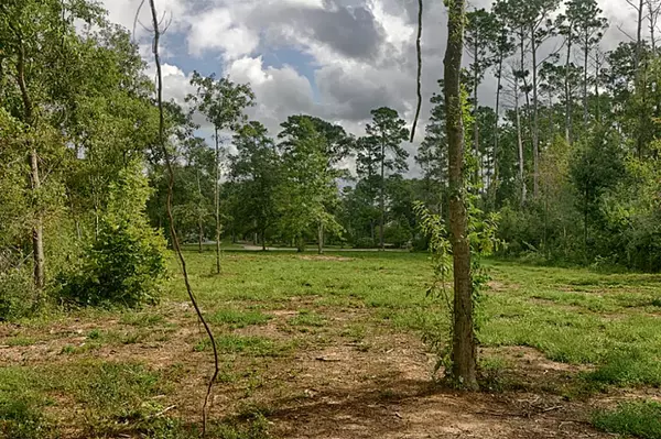 Willis, TX 77318,12791 Aries LOOP