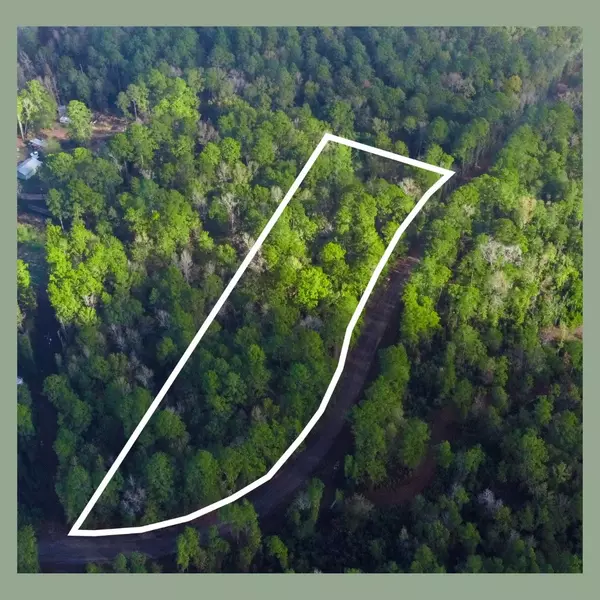 Coldspring, TX 77331,TBD Lakeview Estates DR