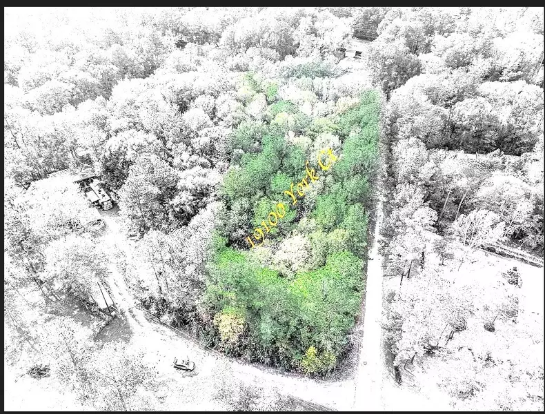 19100 York CT, New Caney, TX 77357