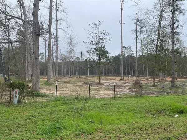 Livingston, TX 77351,Lot 22 Plum Pudding RD