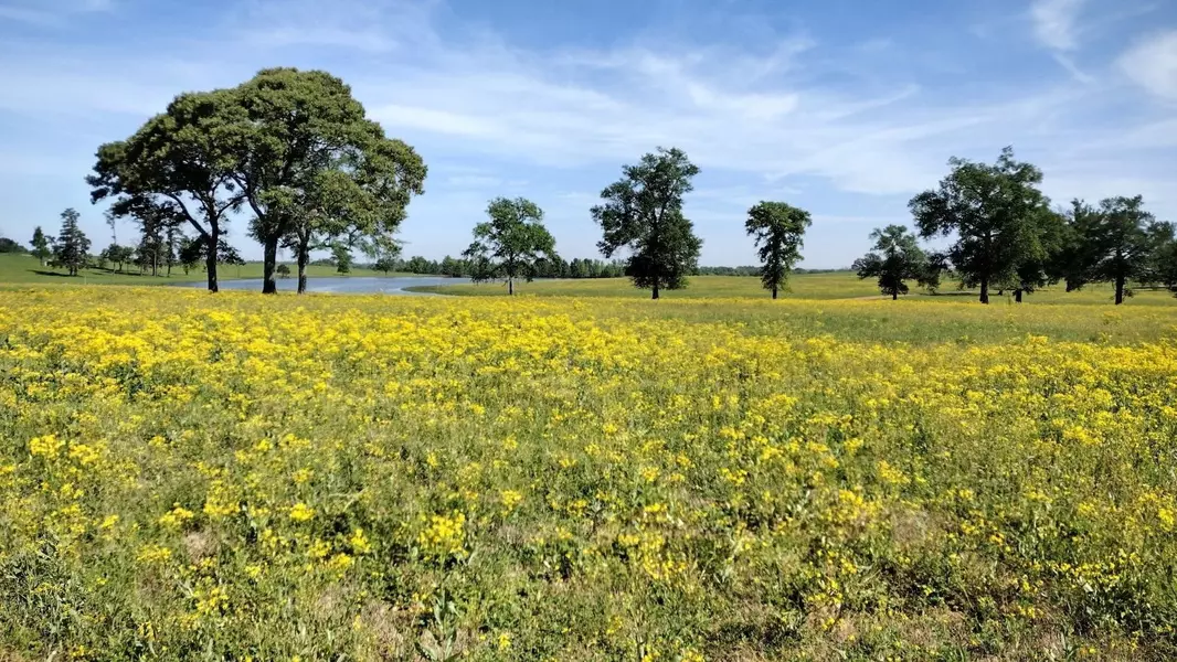 315 Clearlake Ln, Crockett, TX 75835