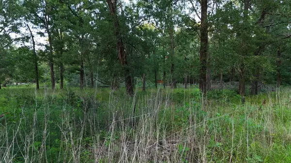 Livingston, TX 77351,O PANTHER LN