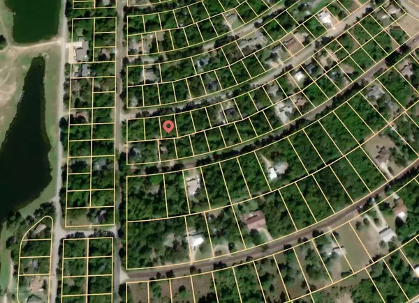 Normangee, TX 77871,Lot 3 Gloccomora LN