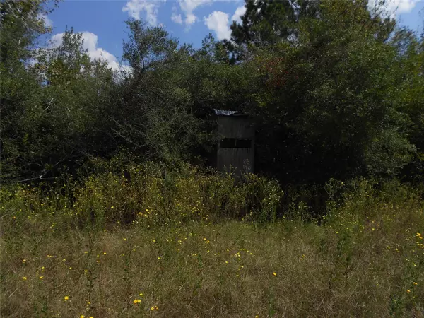 Groveton, TX 75845,5150 Josserand RD