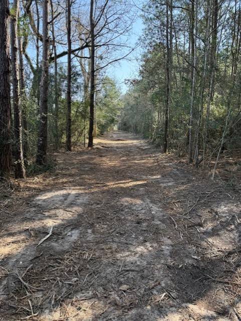Grapeland, TX 75844,00 County Rd 1640