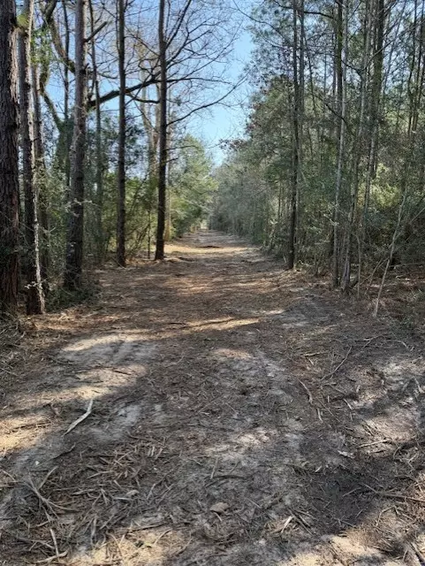 Grapeland, TX 75844,00 County Rd 1640