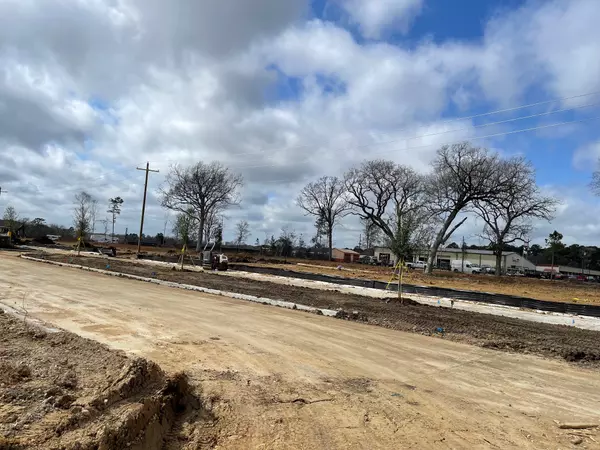 11751 Ruffian DR, Willis, TX 77318