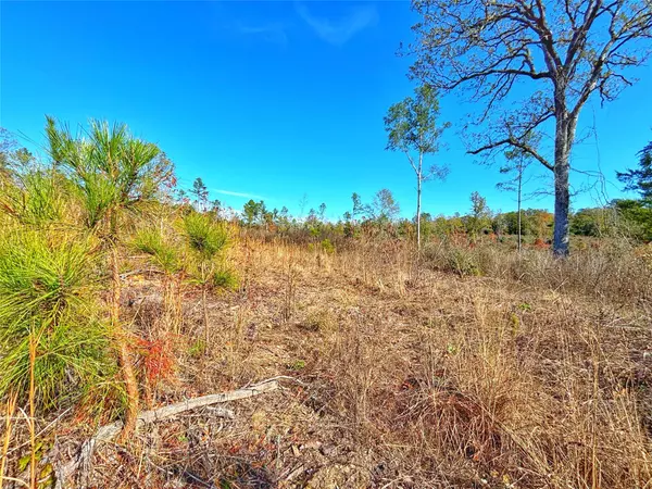 Grapeland, TX 75844,0 FM 2022