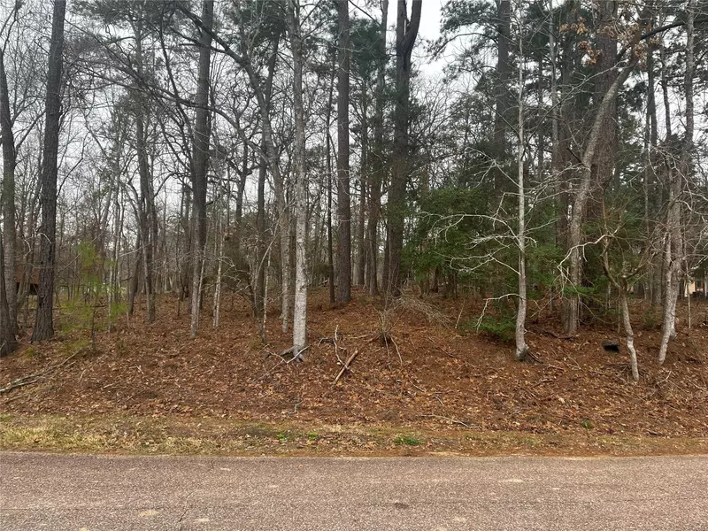 101 S Royale Greens DR, Coldspring, TX 77331