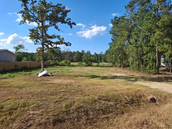 789 Bradford Drive, Conroe, TX 77303