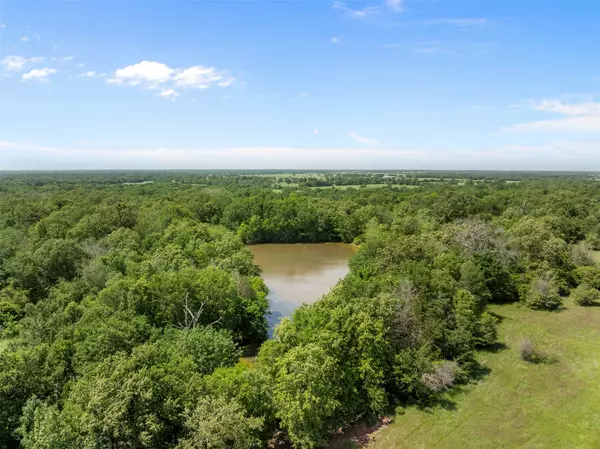 Normangee, TX 77871,+/- 200 AC Dawkins Road