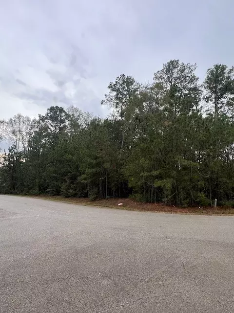 Splendora, TX 77372,27702 Colapis DR