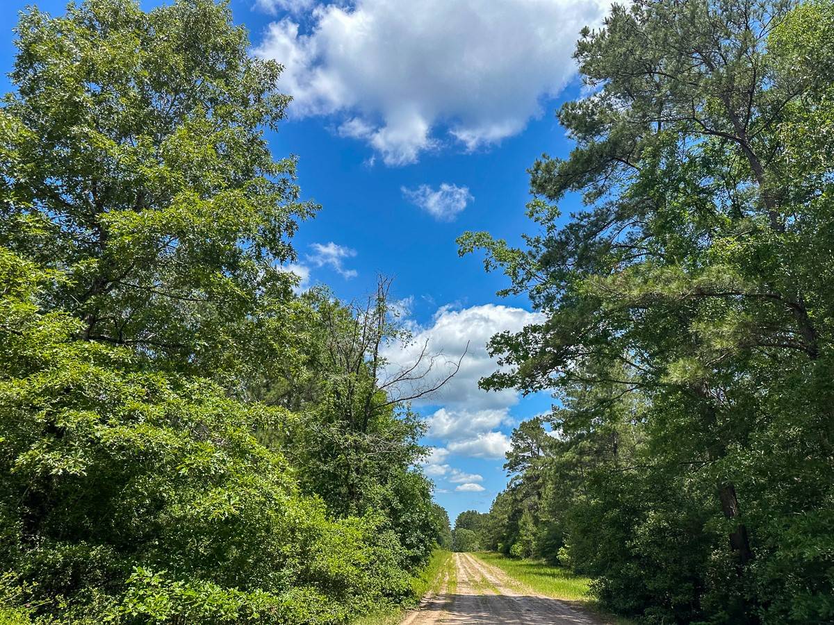 Groveton, TX 75845,49 Easement Access