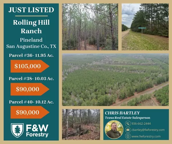 Pineland, TX 76968,Tract 38 HWY 83