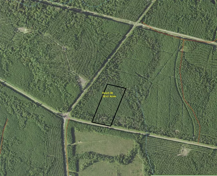 Tract 38 HWY 83, Pineland, TX 76968