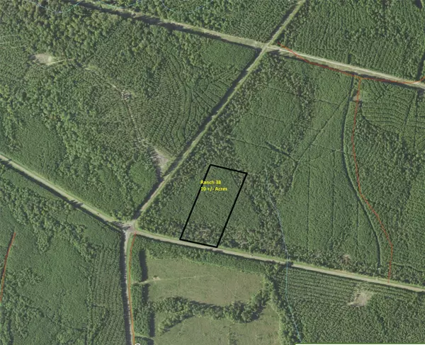 Tract 38 HWY 83, Pineland, TX 76968