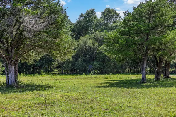 New Ulm, TX 78950,1027 Old New Ulm Rd