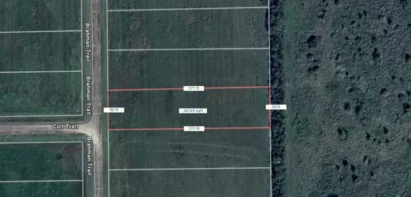 Angleton, TX 77515,000000 Brahman TRL