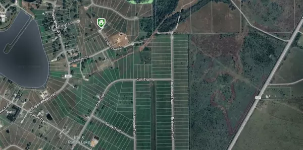 Angleton, TX 77515,000000 Brahman TRL