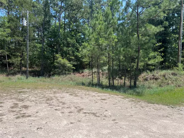 Onalaska, TX 77360,TBD E MOONLIGHT CIR