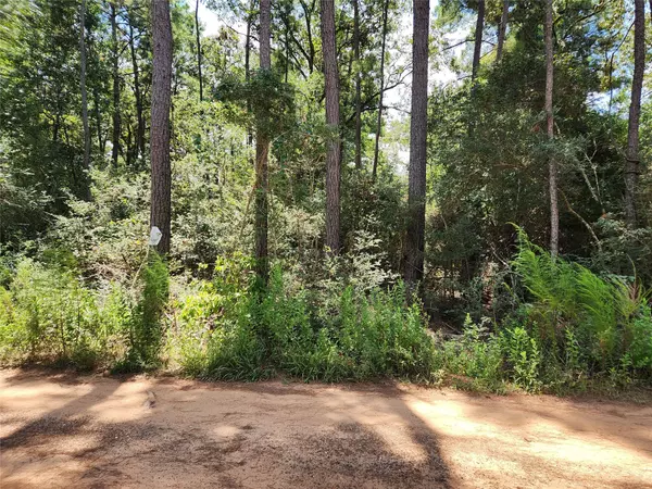 Plantersville, TX 77363,Lot 7 Smokethorn LN