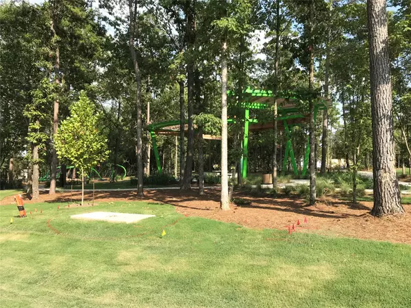 Willis, TX 77318,119 Dorado Sky CT