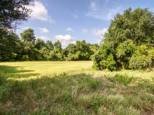 Palestine, TX 75801,00 Gillespie RD