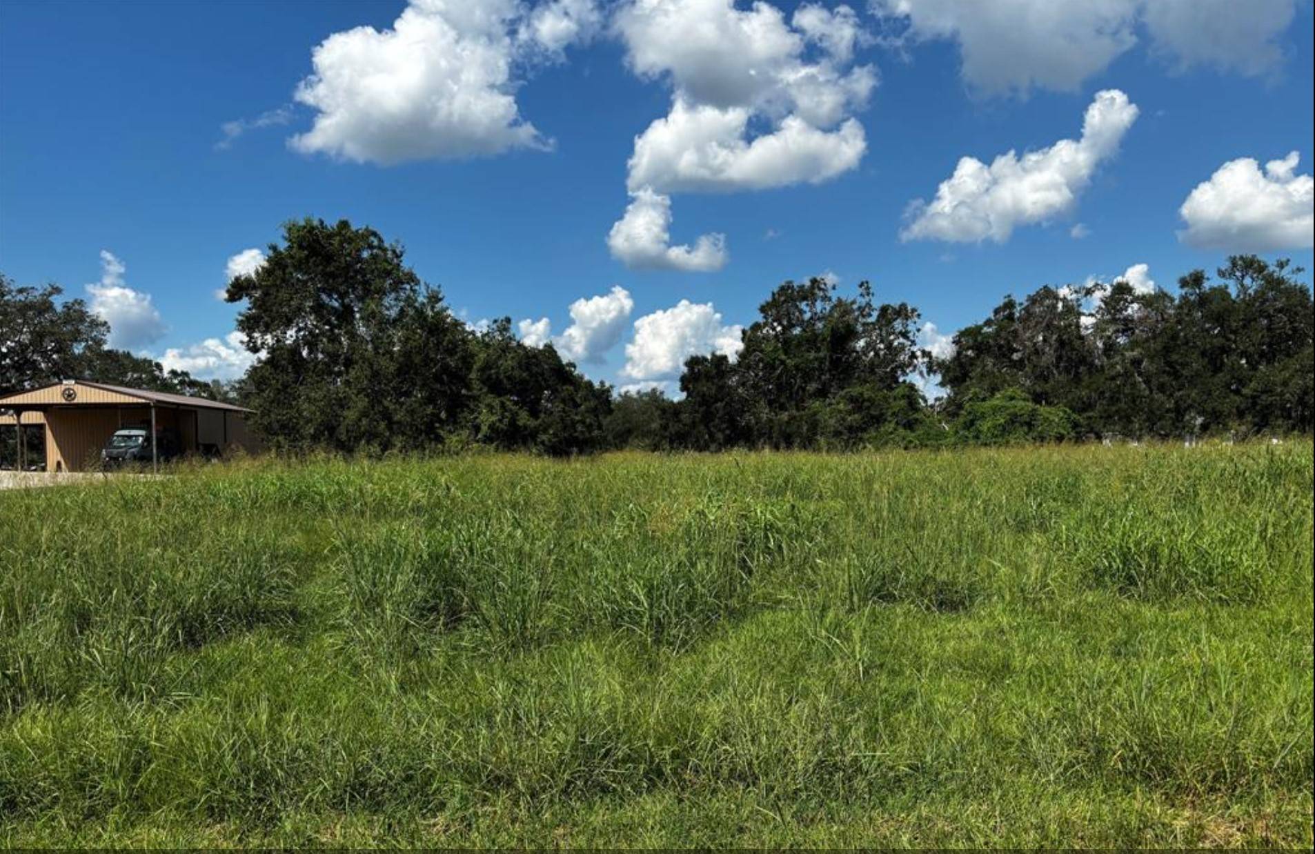 167 Horse Shoe TRL, Angleton, TX 77515