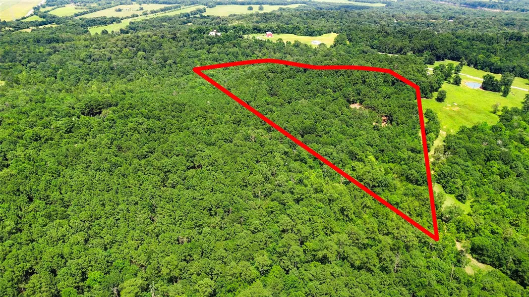 268 Cedar Valley RD, Coldspring, TX 77331