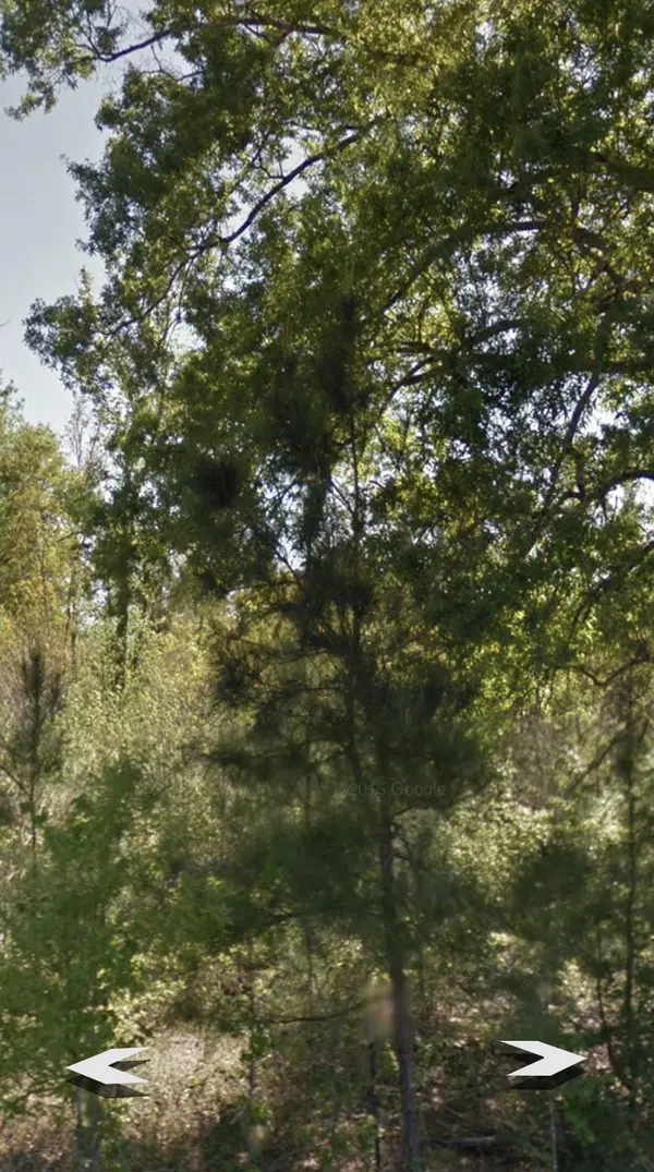 Liberty, TX 77575,TBD S Of County Road 126