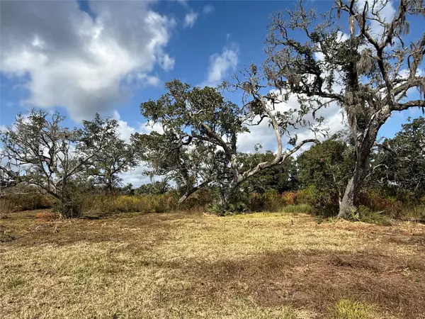 Brazoria, TX 77422,2 CR 700