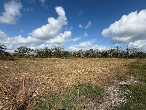 2 CR 700, Brazoria, TX 77422