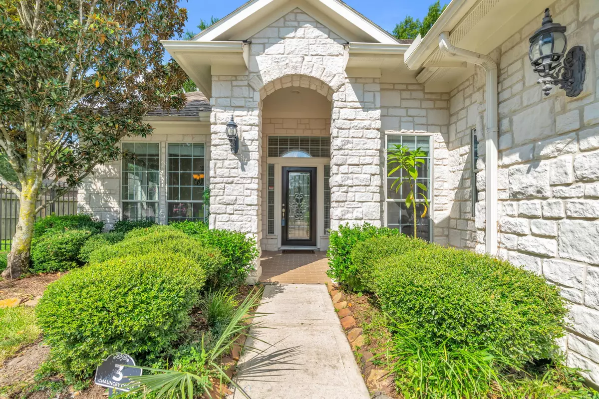 Conroe, TX 77384,3 Chauncey CT