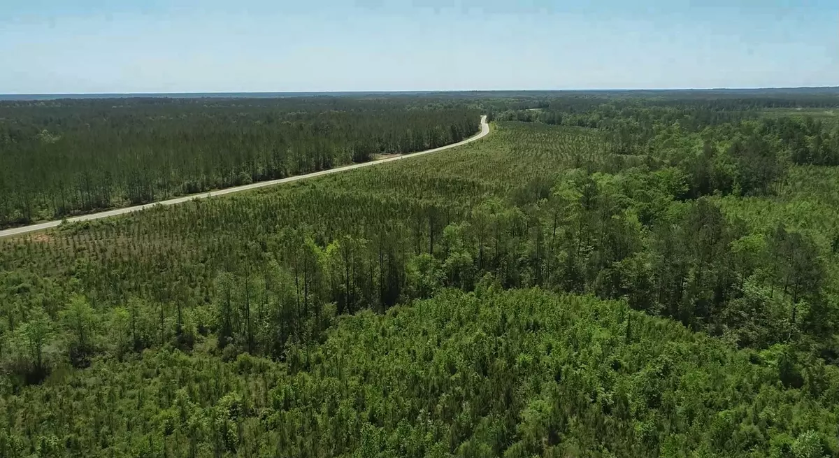 Burkeville, TX 75932,0 FM 2991