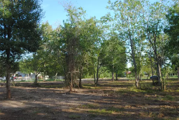 Fresno, TX 77545,Lot 3 Live Oak ST