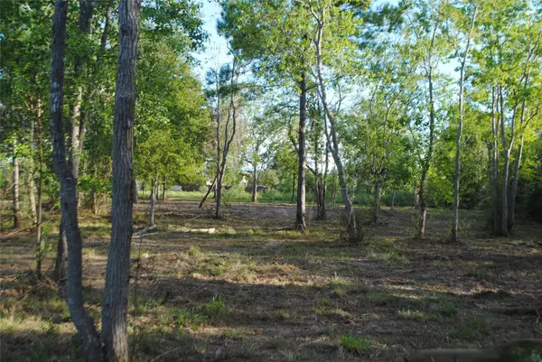 Fresno, TX 77545,Lot 3 Live Oak ST