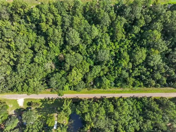 Shepherd, TX 77371,0 0 Dora LN