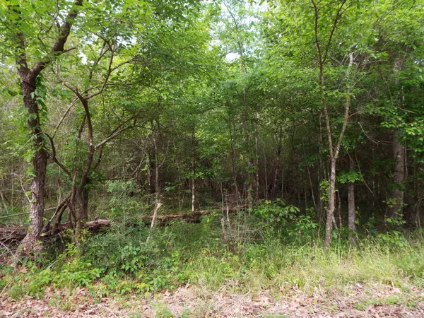 Huntsville, TX 77320,Lot 34 Dogwood RD