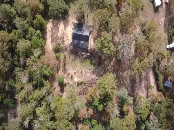 Conroe, TX 77303,10695 Magnolia DR