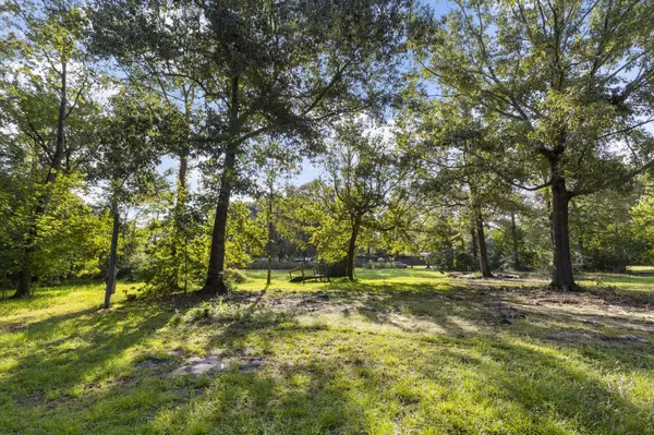 New Waverly, TX 77358,2 Pine Street SPUR