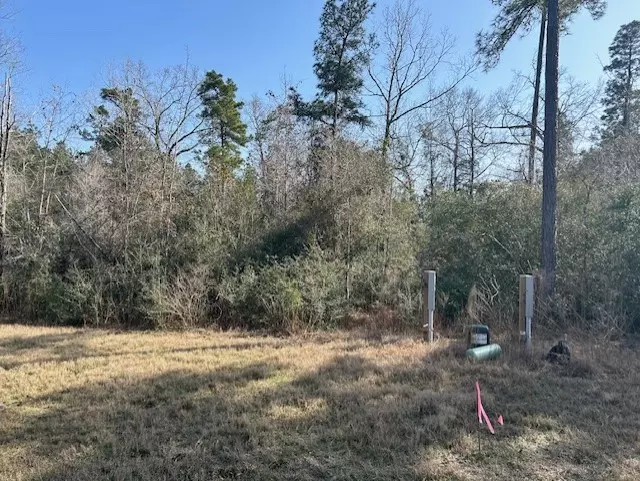 380 Iron Horse RD, New Waverly, TX 77358