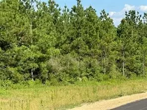 Willis, TX 77378,12087 High Branch WAY