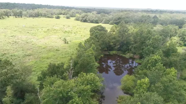 Buffalo, TX 75855,26442 Fm 831