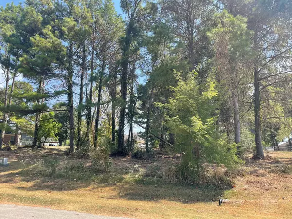 18 & 20 Harbour Point CIR, Coldspring, TX 77331