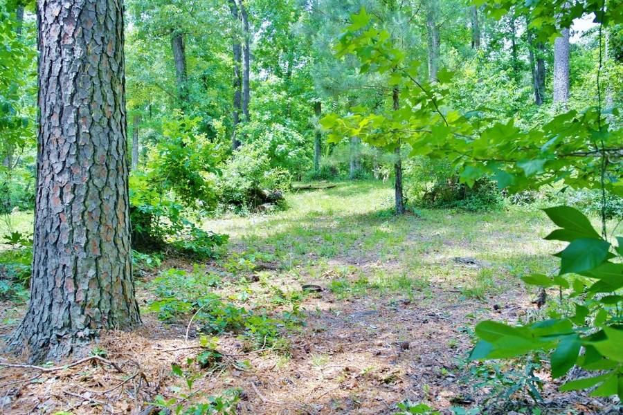 Lot 695 Lake Shore DR, Coldspring, TX 77331