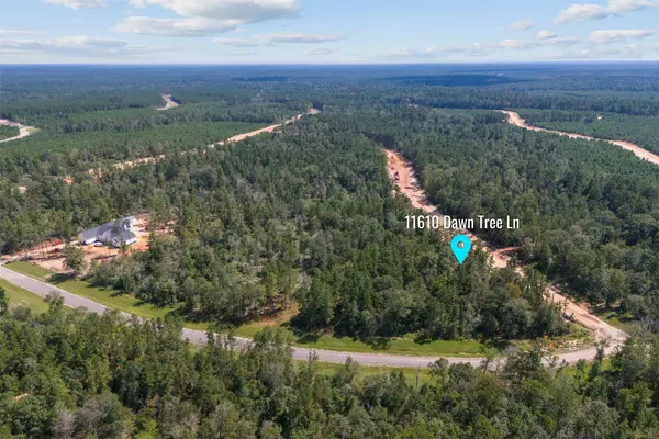 Willis, TX 77378,11610 Dawn Tree LN